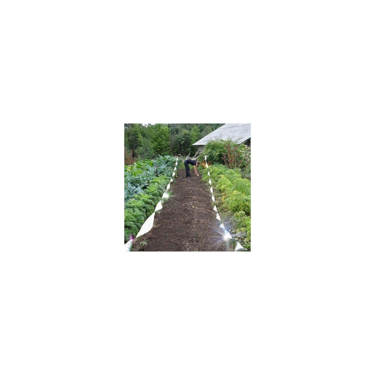 Taśma odstraszająca ptaki 24mm 50mb