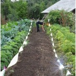 Taśma odstraszająca ptaki 24mm 50mb