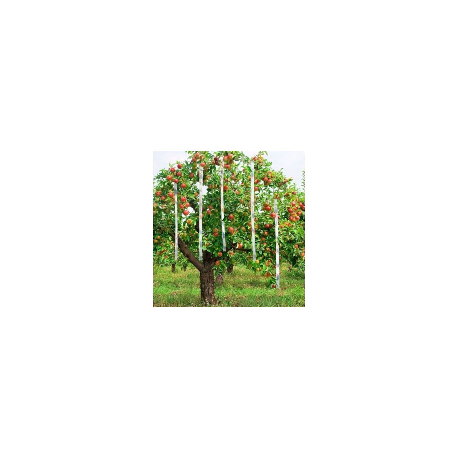 Taśma odstraszająca ptaki 24mm 50mb