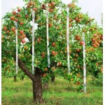 Taśma odstraszająca ptaki 24mm 50mb