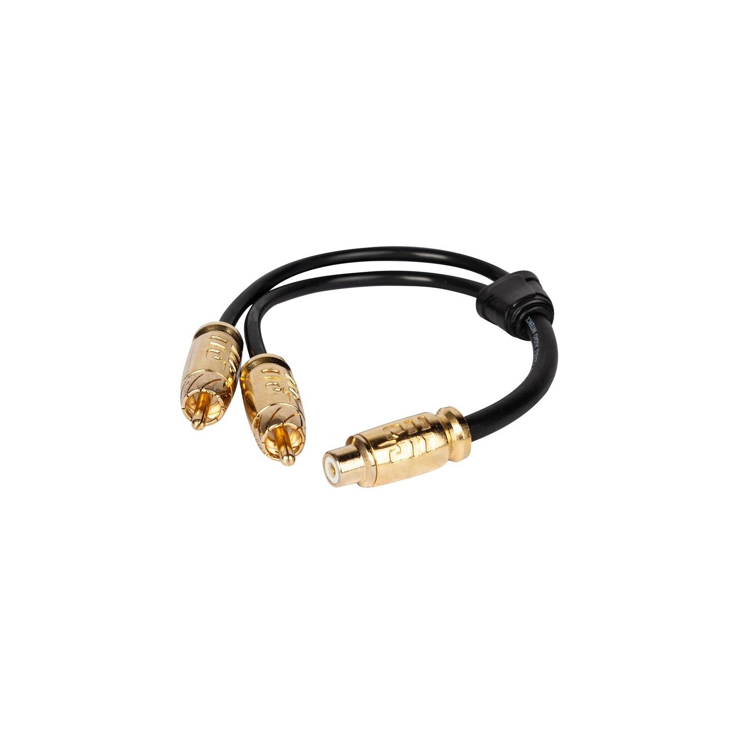 Kabel RCA Headshot...