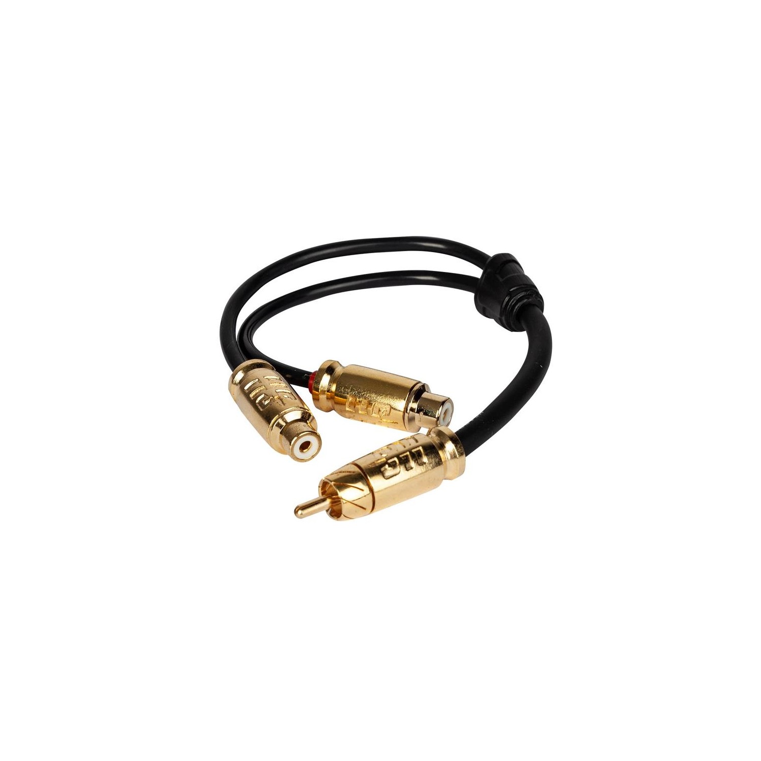 Kabel RCA Headshot...