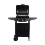 Teesa BBQ 2000 Grill gazowy - 2 palniki